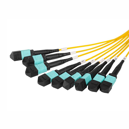 8-1X8 ABS MPO-2